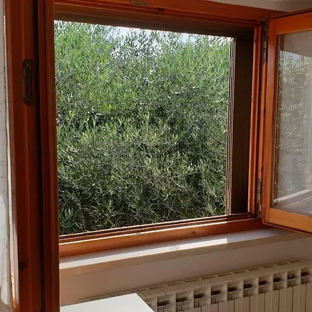 In Al 1 Piano Casa vacanze *